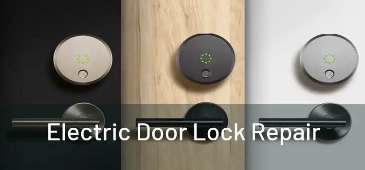 Electric Door Lock Repair