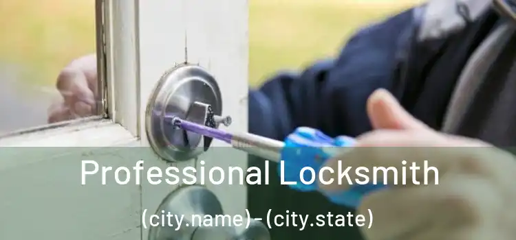 Professional Locksmith (city.name) - (city.state)